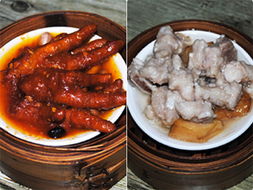 ��צ���Źǵ�����