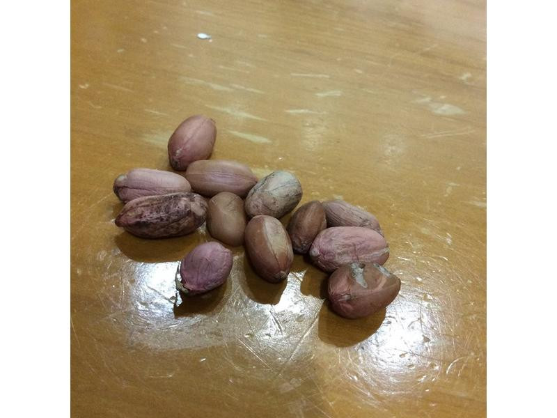 ���俾����������