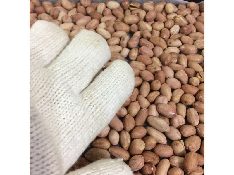 ���俾����������