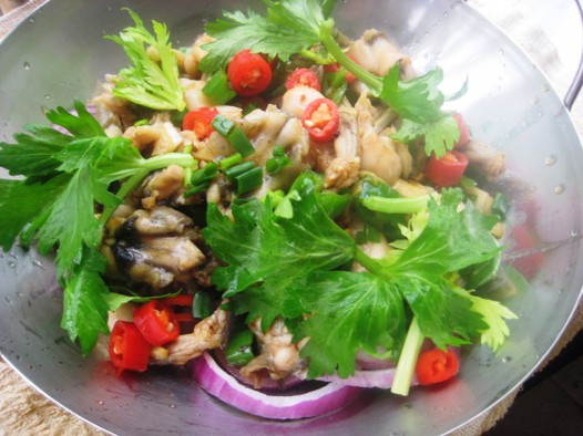 �ɹ��Ｆ������