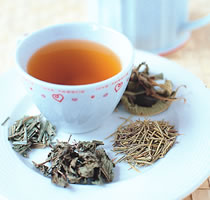 �������Ȳ������