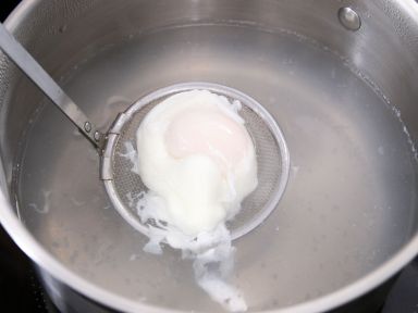 ţ�͹����������������