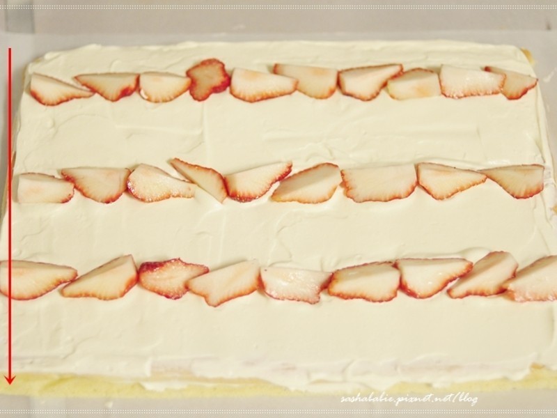 ��ݮ��β��������������Ͳ�ݮ�ݷ絰���������