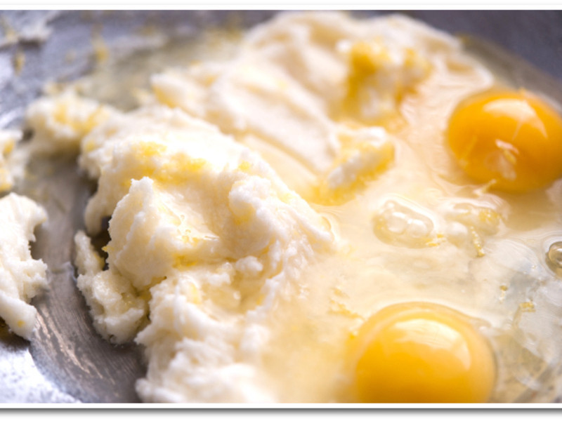 [������ζ����]�ǹ�ʥ�������ӵ��������