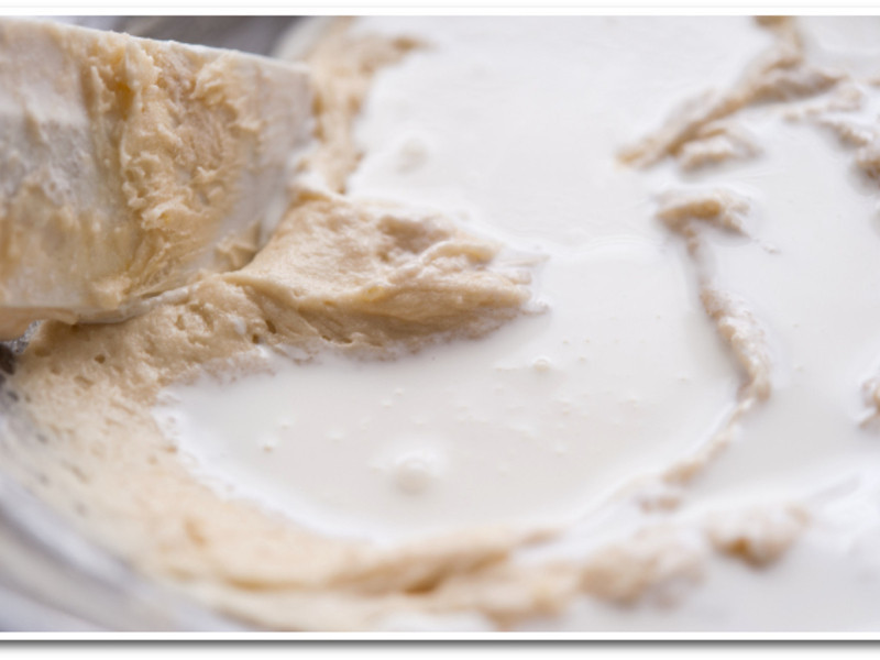 [������ζ����]�ǹ�ʥ�������ӵ��������