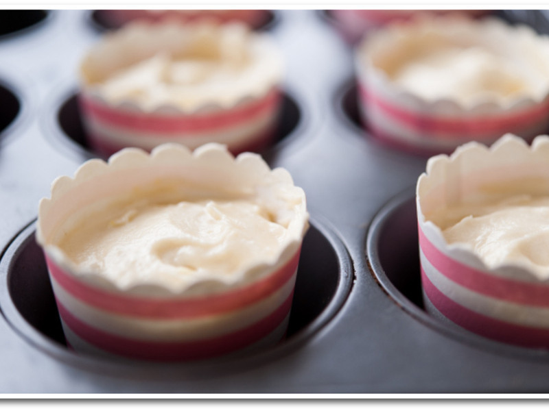 [������ζ����]�ǹ�ʥ�������ӵ��������