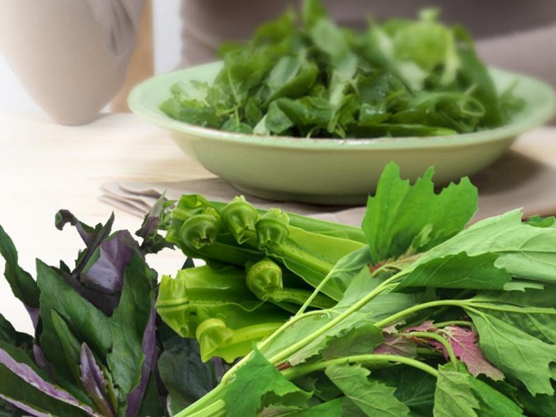 ����Ұ�˵�����