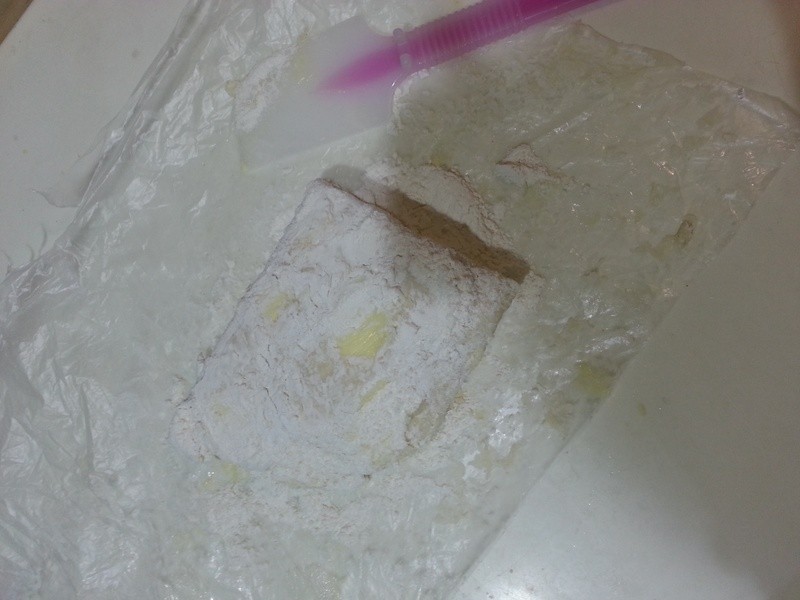 ���ܽ�������ǧ������Ƥ������