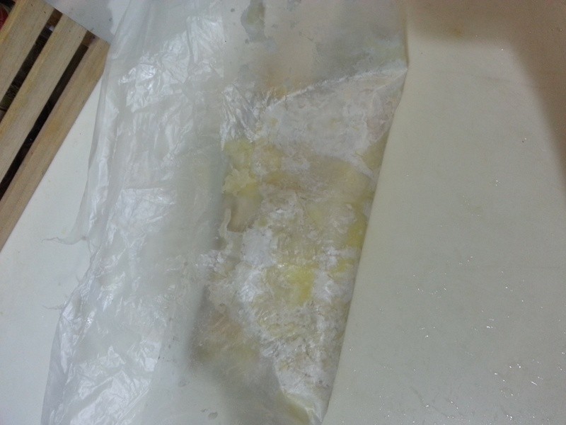 ���ܽ�������ǧ������Ƥ������