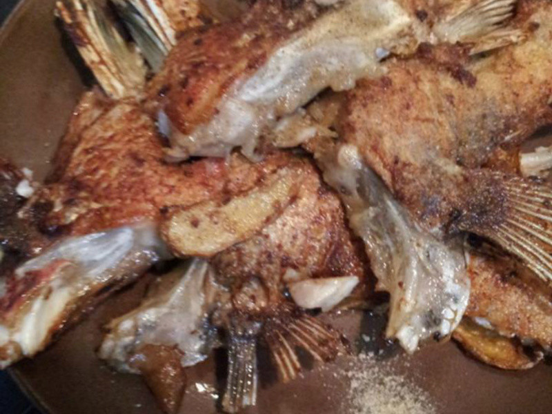 ������°͵�����