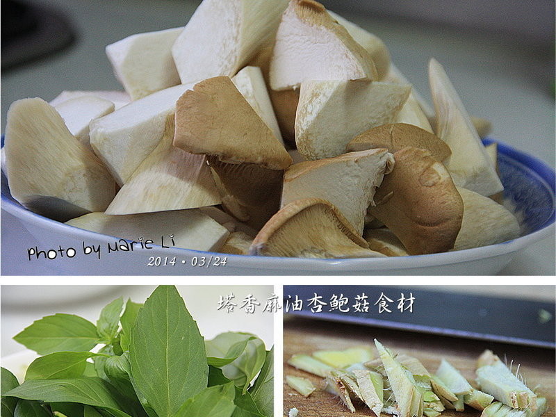 ���������ӱ���������