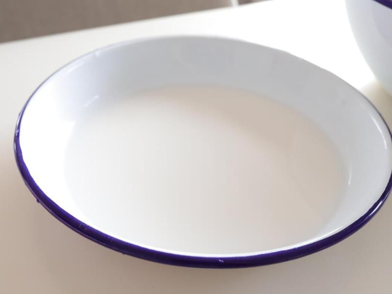 ����ʨ��ͷ��������