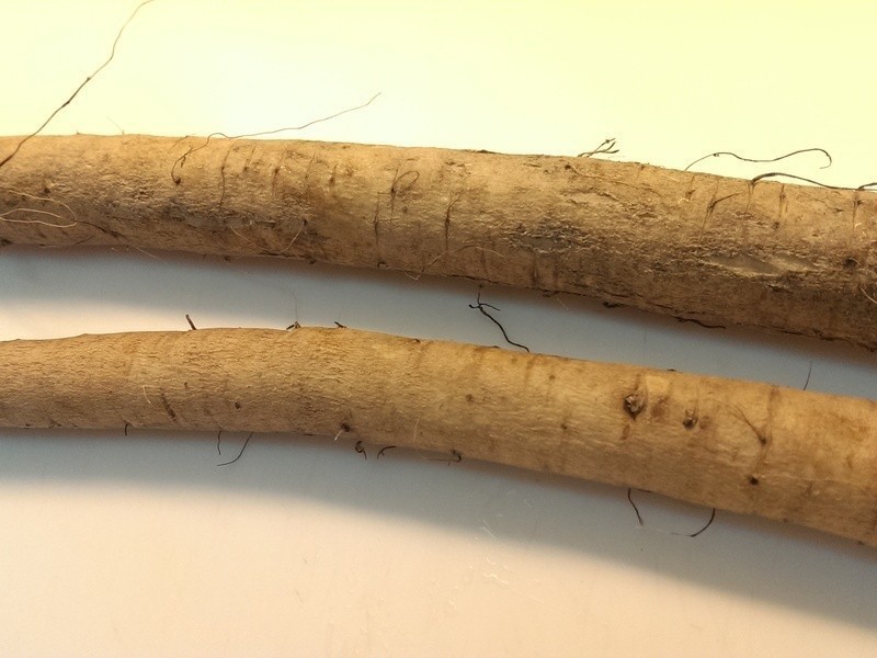 ��ƽţ�򡺴�����ʽ�����㡻������