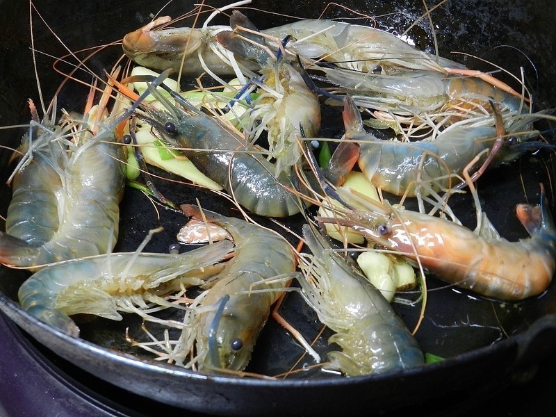 ~��Ǻ̩��Ϻ������