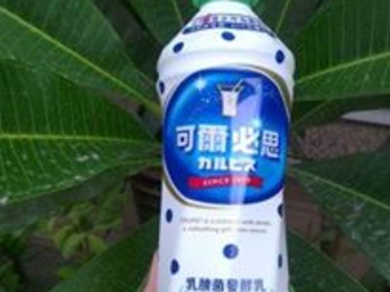 ���ɶ���˼��̩ʽը�㽶������