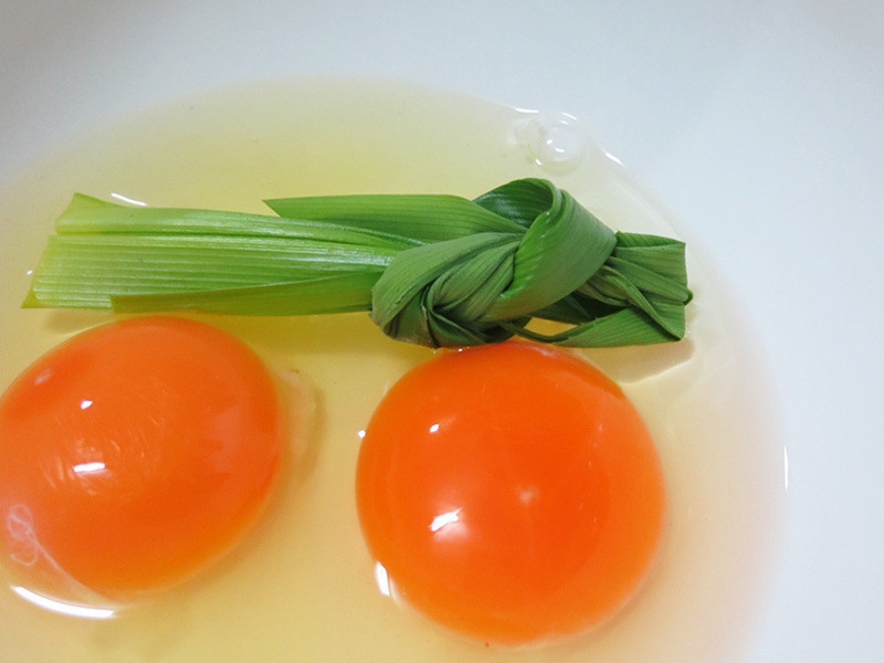 ����Ҭ��������ٯ������