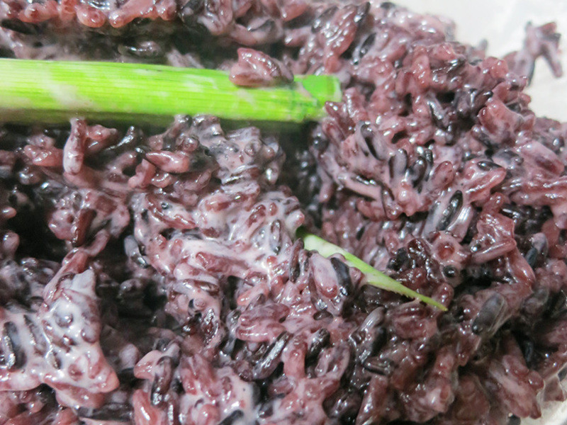 ����Ҭ��������ٯ������