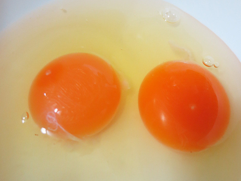 ����Ҭ��������ٯ������