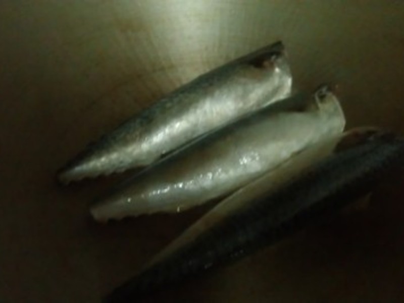 ���������� �ƽ���10���ӳ���ˡ���������֮�������������