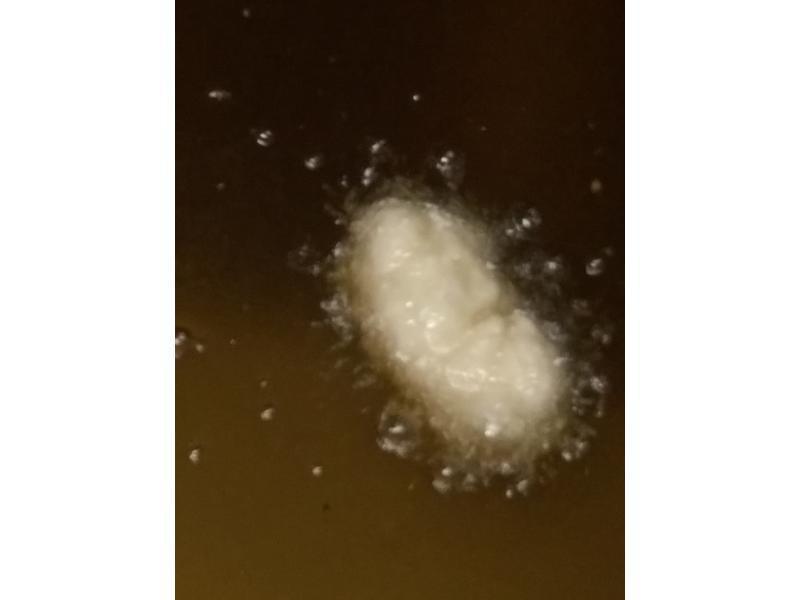 ţ����˾��^(��Ŵ�������)������