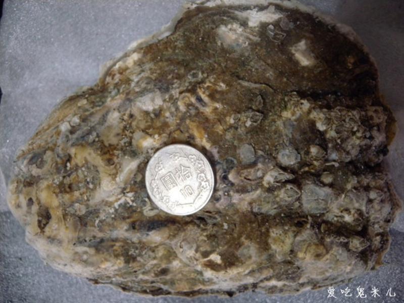 ������������ϖ������