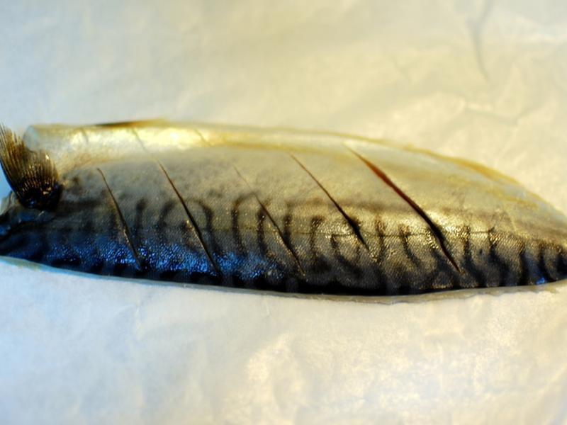 �ο�����������ɳ�� [��֮��]������