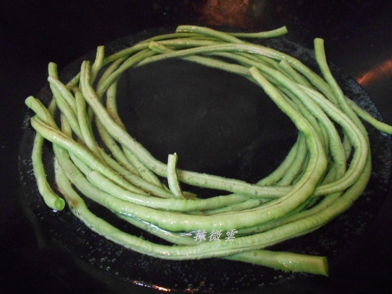 �˶���̦�������������������