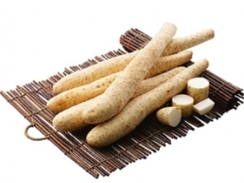 �������ɽҩ������