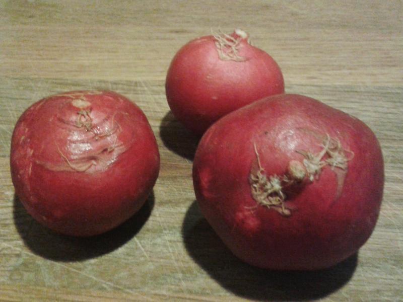 �����������ɳ�� [�����ƽ�]������