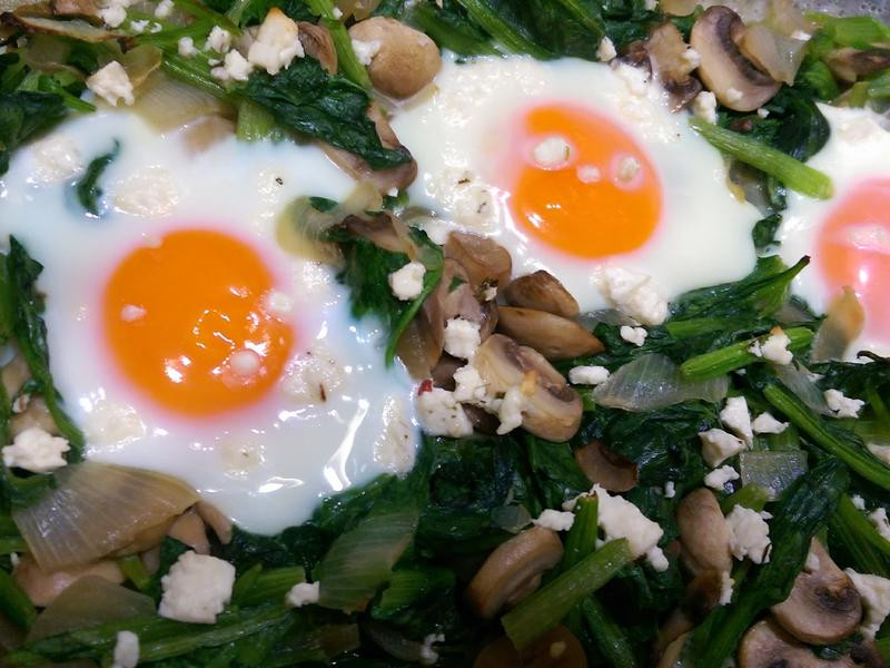 ����Ģ������������