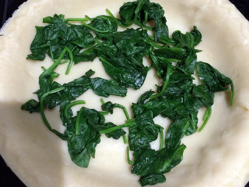 ����������Ģ���ɵ�����