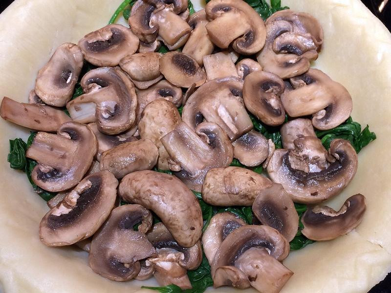 ����������Ģ���ɵ�����