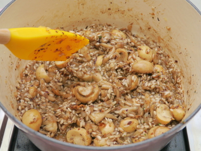 ��ʽ����Ģ������������