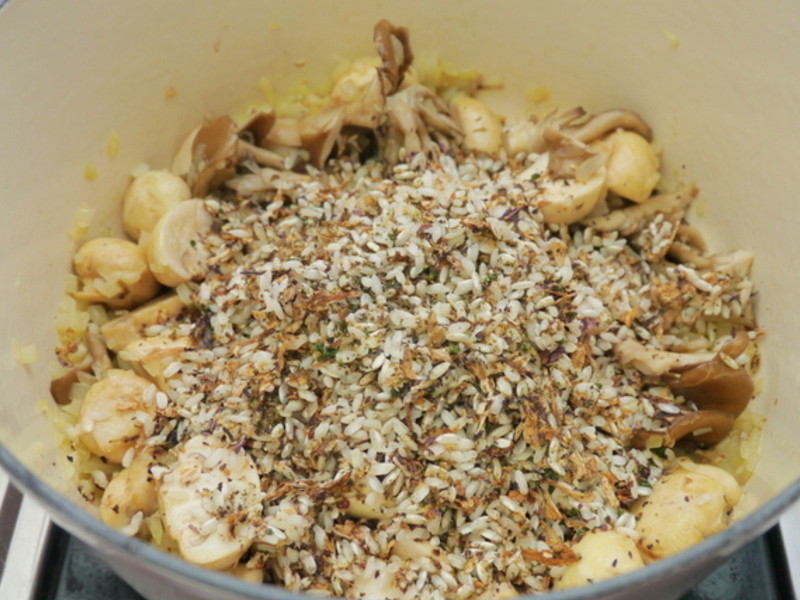 ��ʽ����Ģ������������