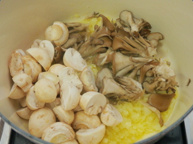 ��ʽ����Ģ������������