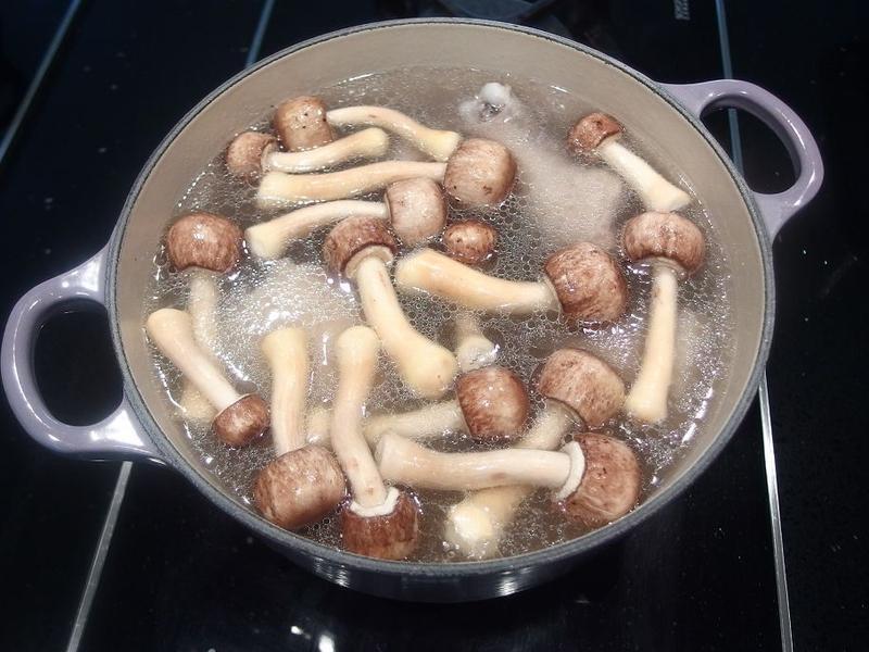 ������Ģ��������������