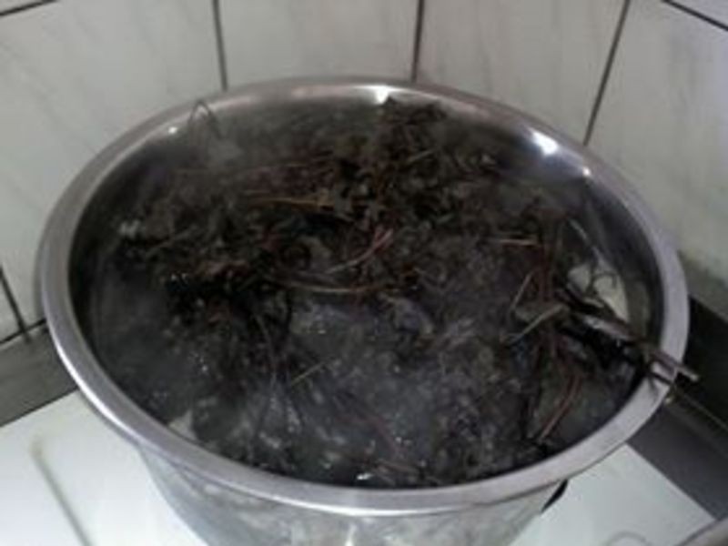 �ɲݼ���������