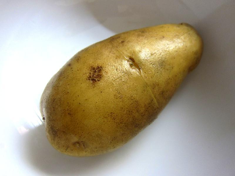 ����ը����˾�������������