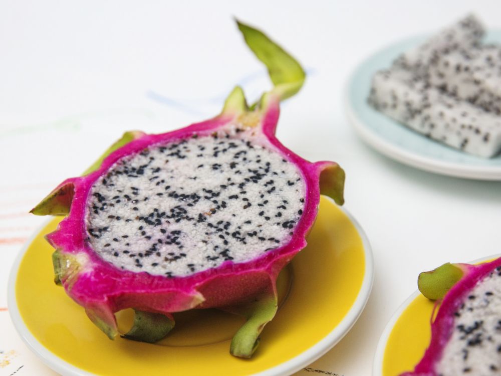 Ҭ֭��������������