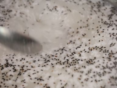 Ҭ֭��������������