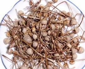 考前提神茶的做法