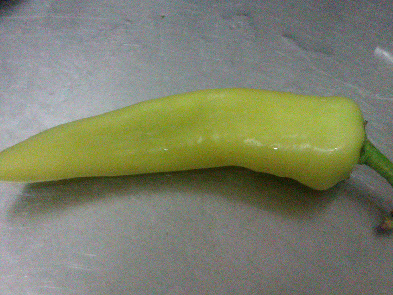 ��ζ����˾ըţ��ʳ�ߵ�����