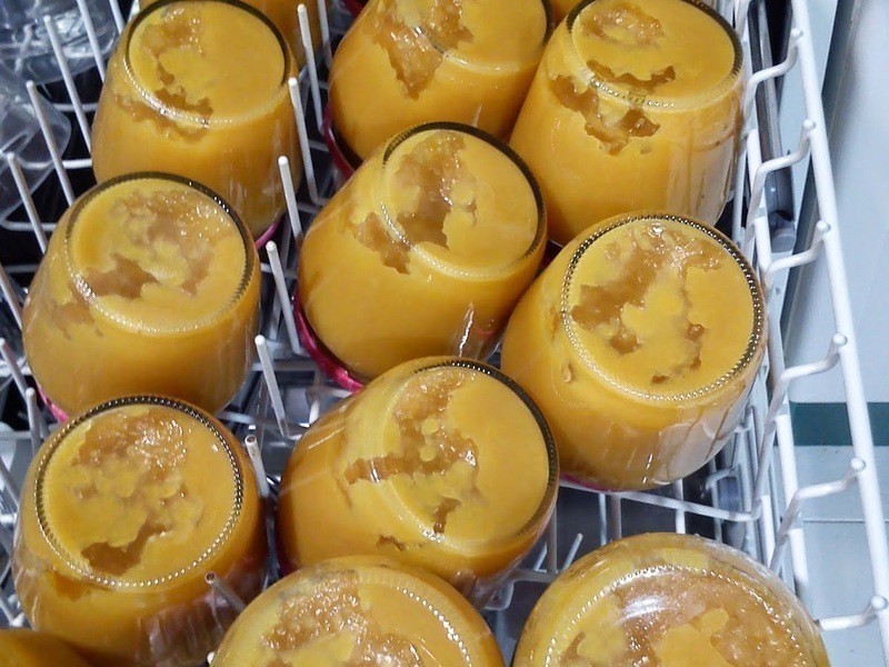 �ڼ���������������