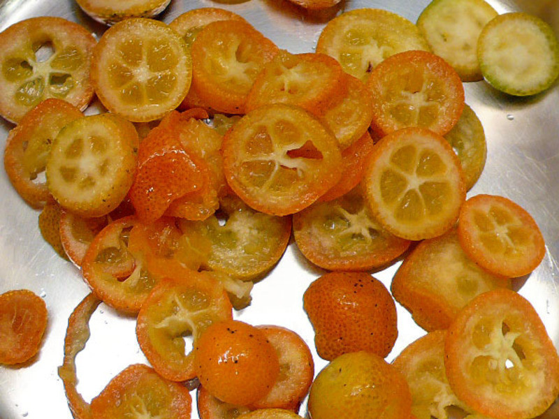 �����������������