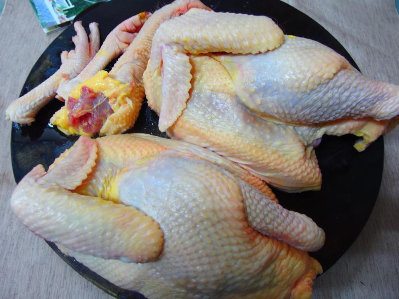 ��ն����������