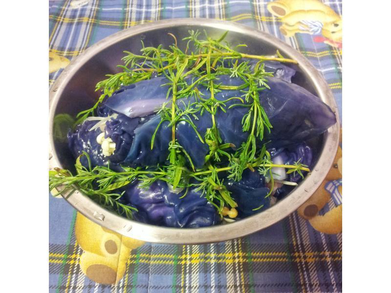 С�ϵ��С�ϲ˲˾�!!������