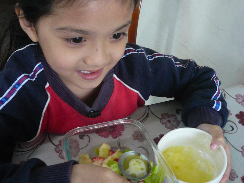 ��ݮ����ɳ������ݮ�Ͱ�ӥ�����̵�����