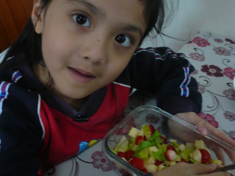 ��ݮ����ɳ������ݮ�Ͱ�ӥ�����̵�����