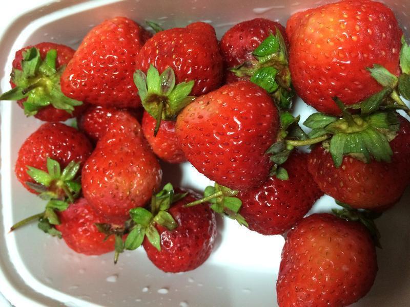 �ٳ���ʧ�ܵ��Ƹ��ݮ���������