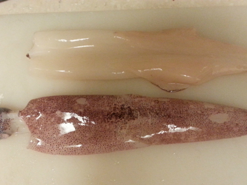 ͸�黨֦��չ������